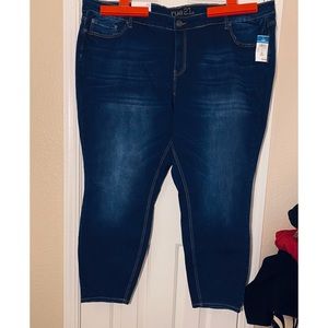 Rue + Mid Rise Curvy Jegging Size 28R